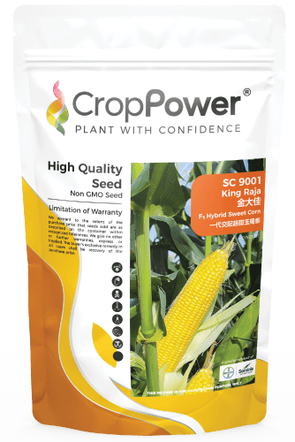 Commercial-Seed-min
