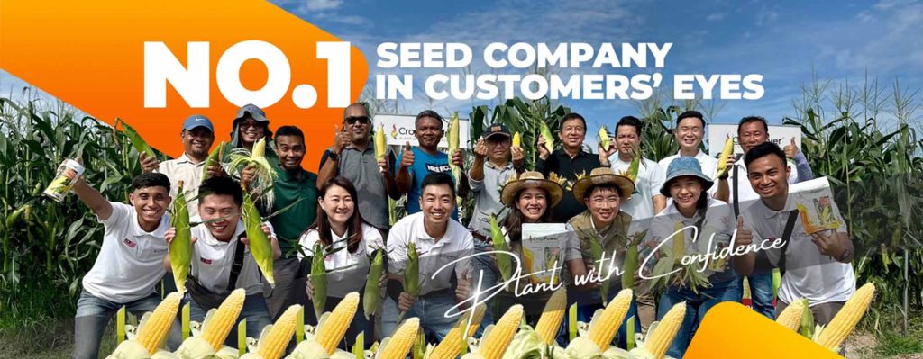 Corporate-Thumbnail-Website